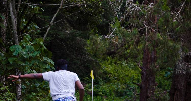 Recorrido por el bosque de Aberdare - Samson's Safaris 5