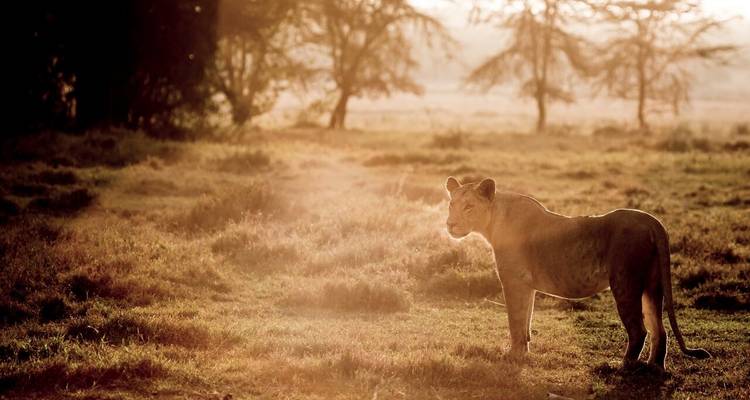 3 Day Solio RanchSafari - Samson's Safaris 7