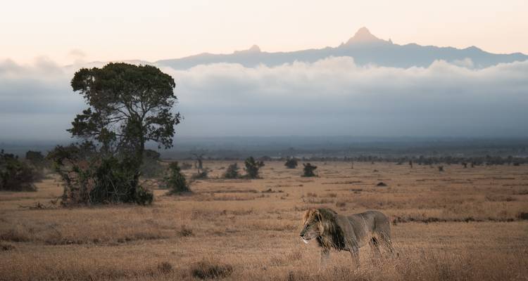3 Day Solio RanchSafari - Samson's Safaris 3