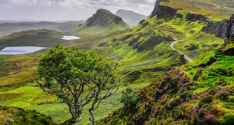 Le paysage du Quiraing avec ses routes sinueuses et sa végétation luxuriante.