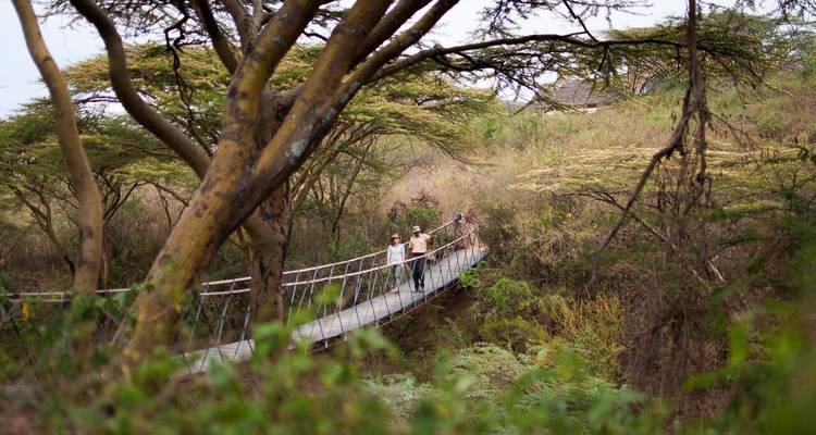 Safari de 4 días por la naturaleza de Nairobi - Samson's Safaris 1