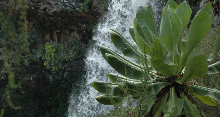 Safari de 4 días por Nairobi y Aberdare - Samson's Safaris 3