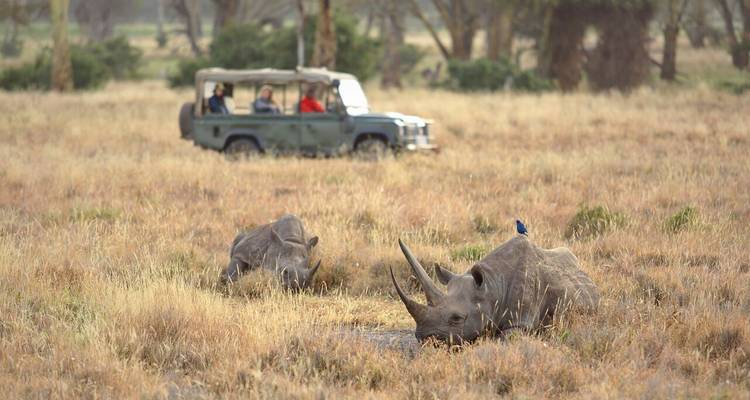 8-Day Kenya Wildebeest Migration Safari - Samson's Safaris 4