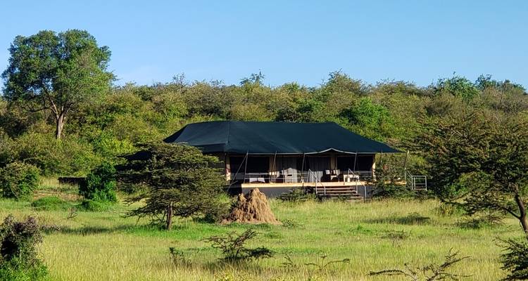 8-Day Kenya Wildebeest Migration Safari - Samson's Safaris 10