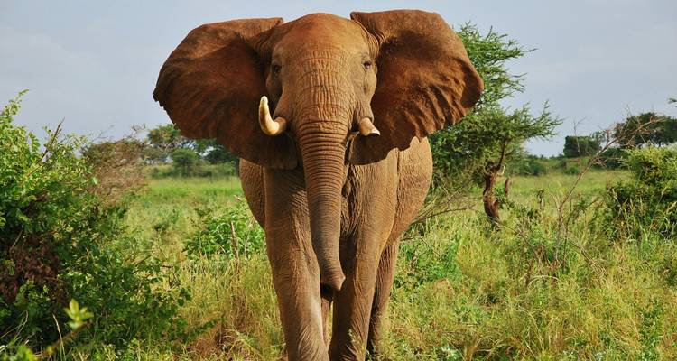 Safari en grupo de 8 días por Kenia - Samson's Safaris 2