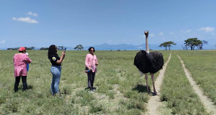 Safari en grupo de 8 días por Kenia - Samson's Safaris 8