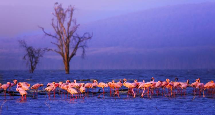 9-Day New York to Nairobi Safari - Samson's Safaris 7