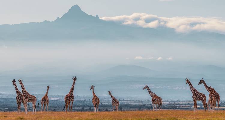 Safari de 3 días en Aberdare - Samson's Safaris 8