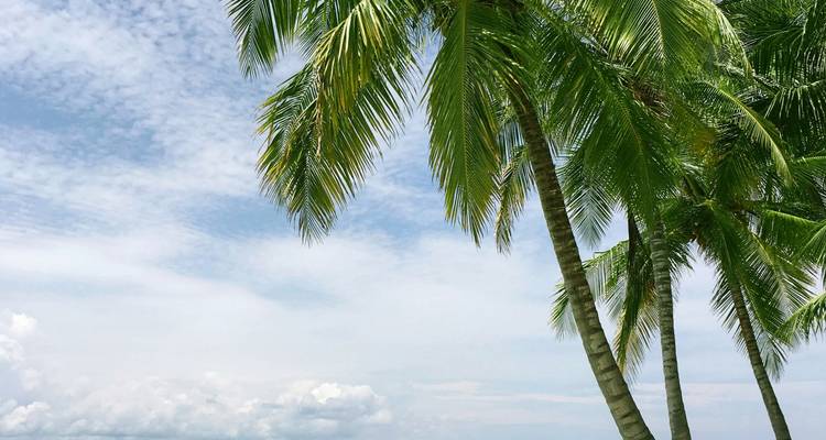 Safari de 10 días en Kenia de luna de miel - Sabana y playa - Samson's Safaris 7