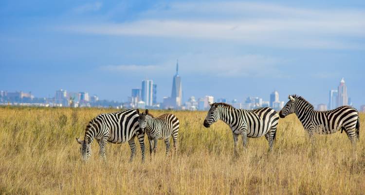 Safari de lujo de 10 días - Samson's Safaris 8