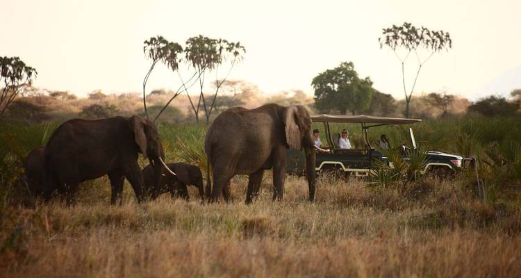 Safari de lujo de 10 días - Samson's Safaris 1