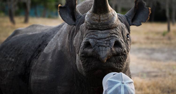 Safari de 10 días por Kenia - Samson's Safaris 2