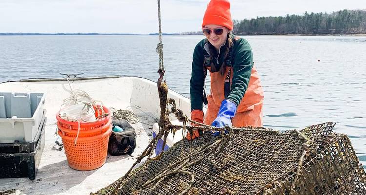 Pêcheur de homard en équipement orange récupérant un piège sur les eaux calmes du Maine.