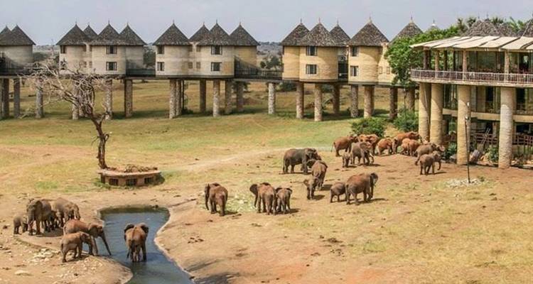 Escapade dans les collines de Taita au départ de Mombasa / Diani - Samson's Safaris 2