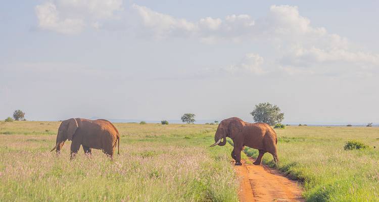 Escapade dans les collines de Taita au départ de Mombasa / Diani - Samson's Safaris 7