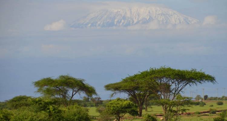 Amboseli de 3 días desde Mombasa - Samson's Safaris 1