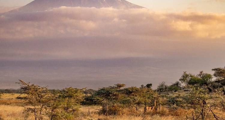 Amboseli de 3 días desde Mombasa - Samson's Safaris 6