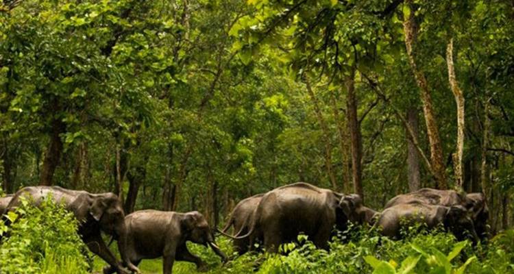 1-Day Shimba Hills Safari Day Trip from Diani - Samson's Safaris 1