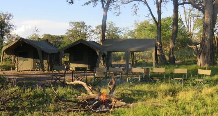 Safari avec camping en plein nature dans le delta intérieur de l'Okavango - 3 jours - Kalahari Breeze Safaris 5