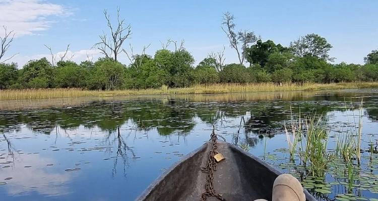 Safari avec camping en plein nature dans le delta intérieur de l'Okavango - 3 jours - Kalahari Breeze Safaris 6
