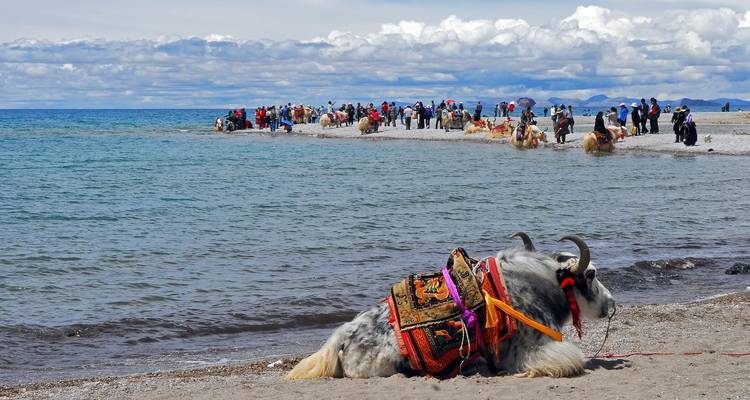 Jak aan de oever en groepen mensen die paardrijden.