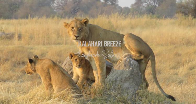 8 Day Wilderness Trail: Okavango & Moremi . WildCamping Safari , all-inclusive - Kalahari Breeze Safaris 1