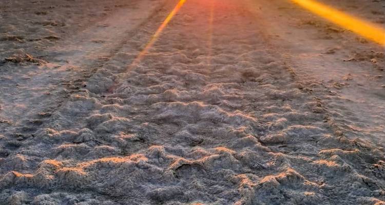 8 Day Highlights Of Botswana & Victoria Falls - Kalahari Breeze Safaris 10