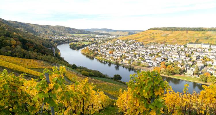 Rhine, Moselle & Belgium Grand Discovery (2025) (Brussels to Basel, 2025) - Uniworld Boutique River Cruise Collection 7