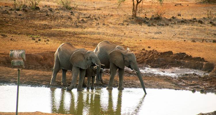 Taita Hills - 3 jours - Samson's Safaris 6