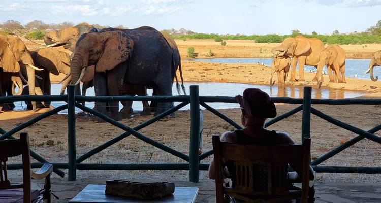 3 Day Tsavo East Safari From Mombasa - Samson's Safaris 3