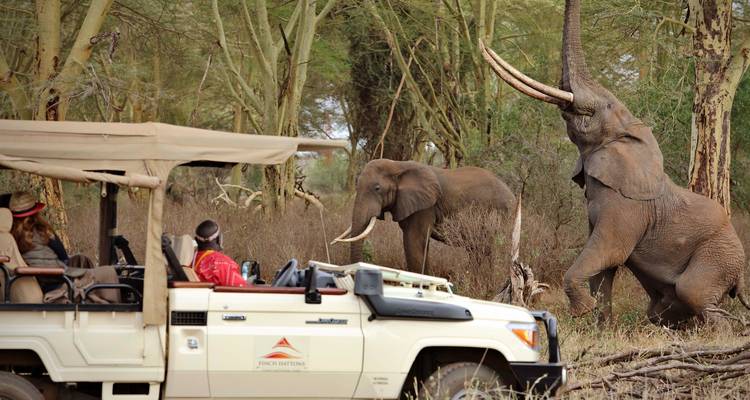 Safari de 3 días por el Tsavo occidental desde Mombasa - Samson's Safaris 7