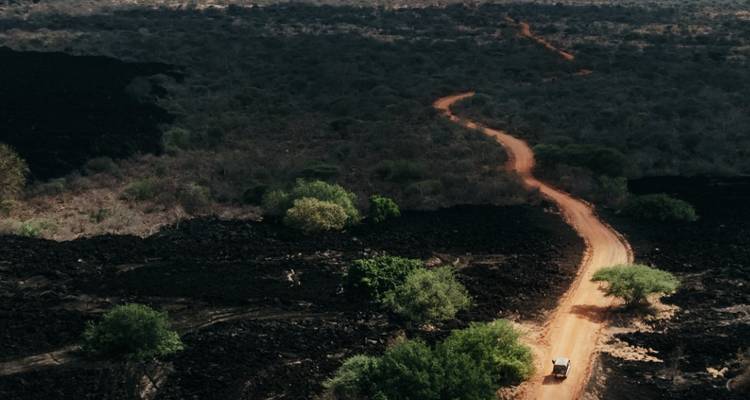 Safari de 3 días por el Tsavo occidental desde Mombasa - Samson's Safaris 9
