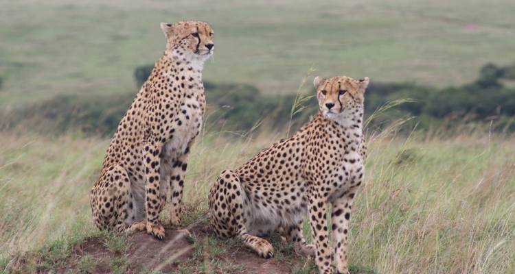 Safari de 6 días por Kenia - Samson's Safaris 2