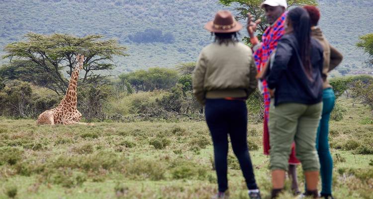Safari en groupe - 6 jours - Samson's Safaris 2