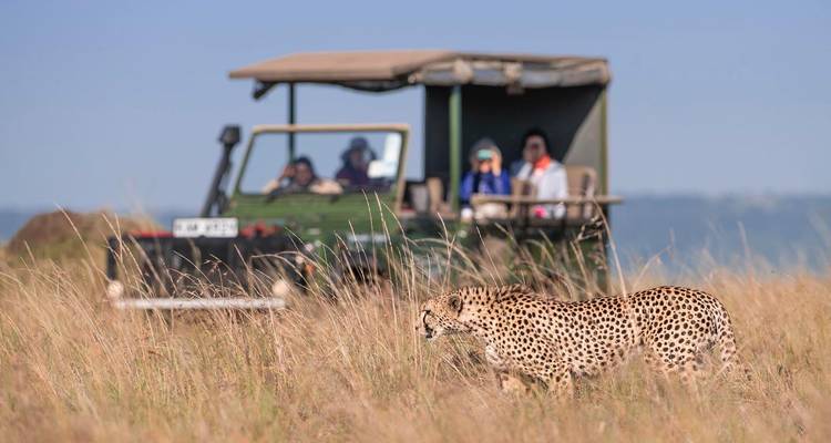 Safari en groupe - 6 jours - Samson's Safaris 8