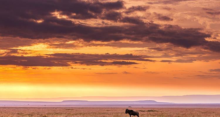 Kenya – 9 Days Discovery Safari Adventure - Bucket List Group Travel LLC 1