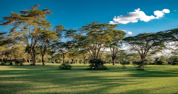 Kenya – 9 Days Discovery Safari Adventure - Bucket List Group Travel LLC 7