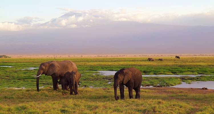Kenia - 6 días de aventura cultural y safari - Bucket List Group Travel LLC 3