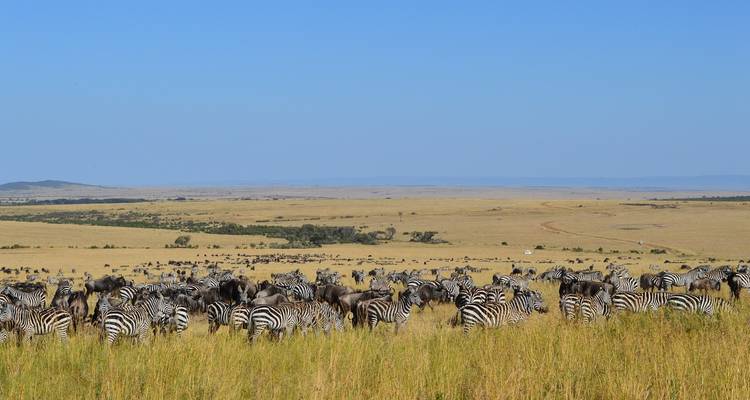 Kenia - 6 días de aventura cultural y safari - Bucket List Group Travel LLC 4