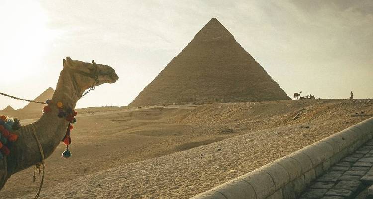 A camel in front of the Pyramid of Khafre under a hazy sky.