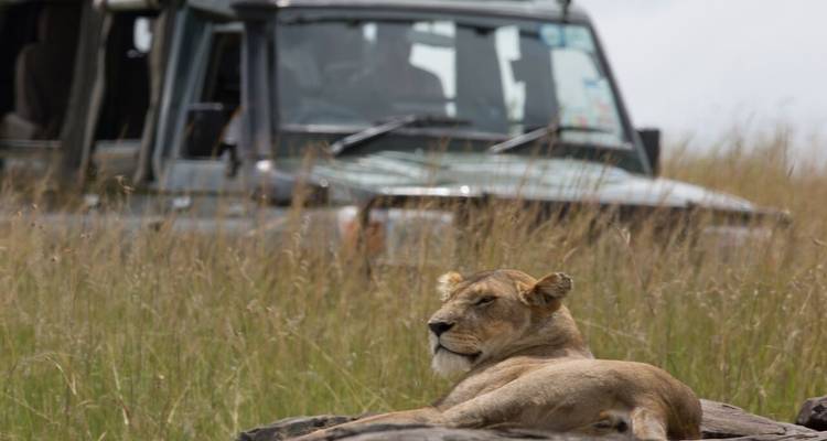 Safari de 7 días con los Cinco Grandes - Samson's Safaris 2