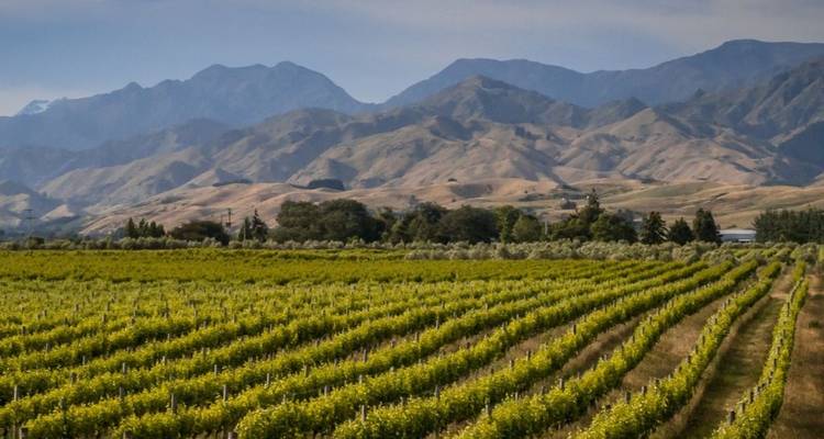 Ultimate New Zealand Self-Drive and Stay 32 Days - Australia and New Zealand Travel Company 6