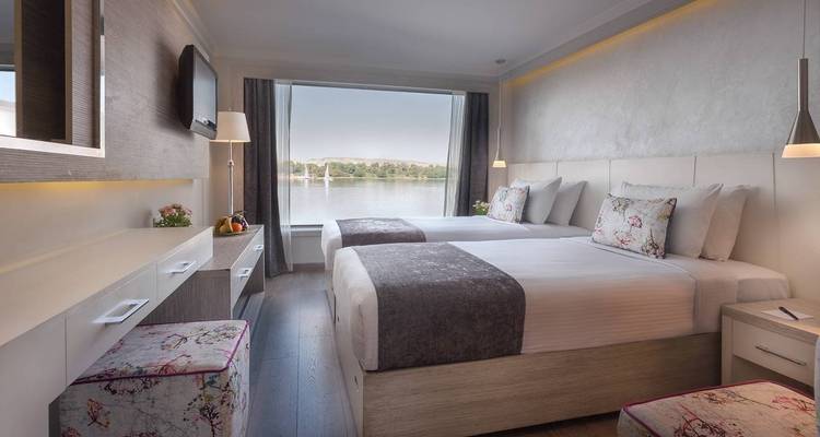 From Luxor: 5-Day Luxury Nile Cruise to Aswan with Balloon - Egypt Tour Pro  4