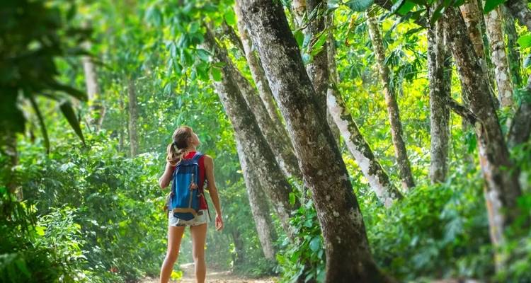 【Cairns】Forfait touristique tout compris de 7 jours avec séjour sur l'île de Fitzroy - Delightful Travel 6