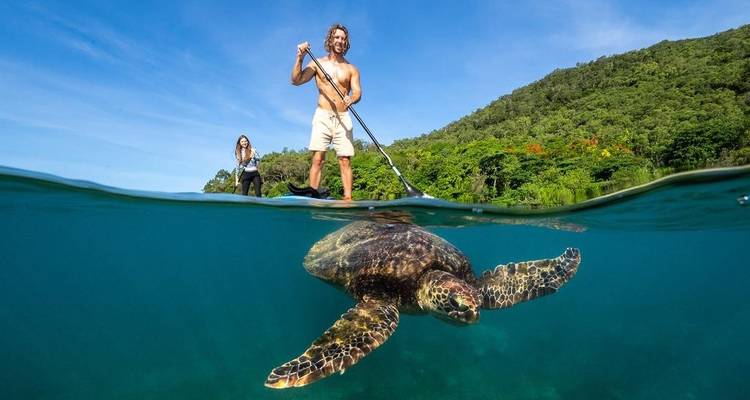 【Cairns】Forfait touristique tout compris de 7 jours avec séjour sur l'île de Fitzroy - Delightful Travel 7