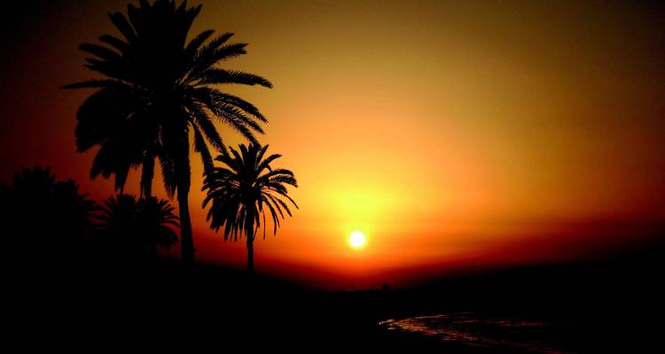 La Tunisie en 6 jours - Tunis - Hammamet - Kairouan et plus encore - Bucket List Group Travel LLC 1