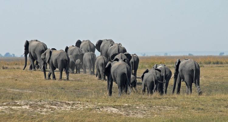 Zambie - Nambie - Botswana - Zimbabwe - 8 jours - 4 pays - Aventure et safari - Bucket List Group Travel LLC 3