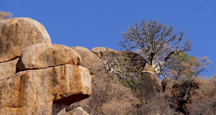 Zambie - Nambie - Botswana - Zimbabwe - 8 jours - 4 pays - Aventure et safari - Bucket List Group Travel LLC 6