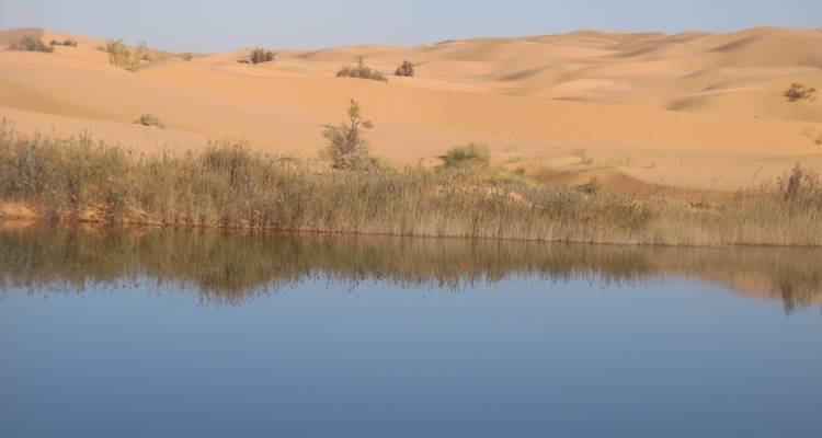 Lac désert serein entouré de dunes de sable et de végétation clairsemée.