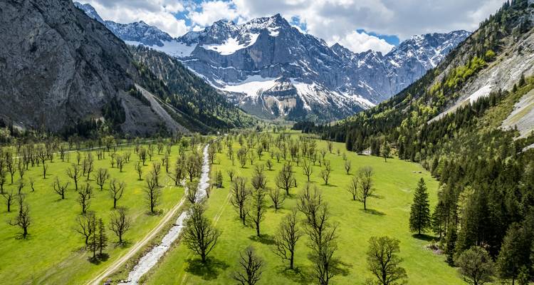 Valley surrounded by majestic snow-capped mountains and lush greenery.